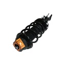 Strut Armado con Resorte Delantero Izquierdo GSP 30308422