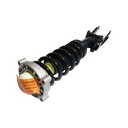 Strut Armado con Resorte Delantero Izquierdo GSP 30308482