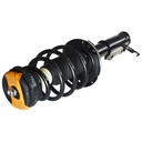 Strut Armado con Resorte Delantero Derecho GSP 30308551