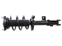 Strut Armado con Resorte Delantero Izquierdo GSP 30308562