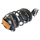 Strut Armado con Resorte Delantero Derecho GSP 30308631