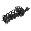 Strut Armado con Resorte Trasero Izquierdo GSP 30308832