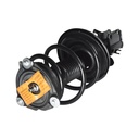Strut Armado con Resorte Delantero Derecho GSP 30308901