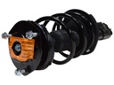 Strut Armado con Resorte Delantero Izquierdo GSP 30308972