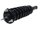 Strut Armado con Resorte Delantero GSP 30309010
