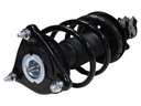 Strut Armado con Resorte Delantero Derecho GSP 30309111