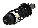 Strut Armado con Resorte Delantero Izquierdo GSP 30309162