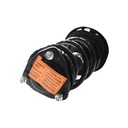 Strut Armado con Resorte Delantero Derecho GSP 30309511