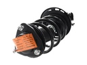 Strut Armado con Resorte Delantero Izquierdo GSP 30309512