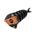 Strut Armado con Resorte Delantero Derecho GSP 30309651