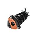 Strut Armado con Resorte Delantero Izquierdo GSP 30309652