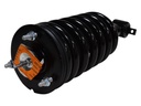 Strut Armado con Resorte Delantero GSP 30309810