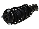 Strut Armado con Resorte Delantero Izquierdo GSP 30310152