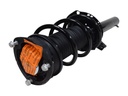 Strut Armado con Resorte Delantero GSP 30310160