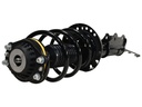 Strut Armado con Resorte Delantero Izquierdo GSP 30310282
