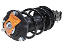 Strut Armado con Resorte Delantero Izquierdo GSP 30310382