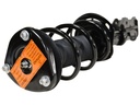 Strut Armado con Resorte Delantero Izquierdo GSP 30310432