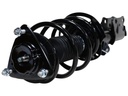 Strut Armado con Resorte Delantero GSP 30310490