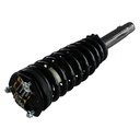 Strut Armado con Resorte Delantero GSP 30330240