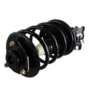 Strut Armado con Resorte Delantero Izquierdo GSP 30330382