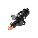 Strut Armado con Resorte Trasero Izquierdo GSP 30333192