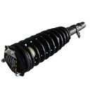 Strut Armado con Resorte Delantero GSP 30333200