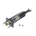 Strut Armado con Resorte Trasero GSP 30333380