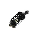 Strut Armado con Resorte Delantero Izquierdo GSP 30333402