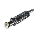 Strut Armado con Resorte Trasero GSP 30333770