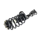 Strut Armado con Resorte Delantero Izquierdo GSP 30333852