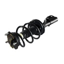 Strut Armado con Resorte Delantero GSP 30334130