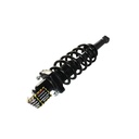 Strut Armado con Resorte Trasero GSP 30334390