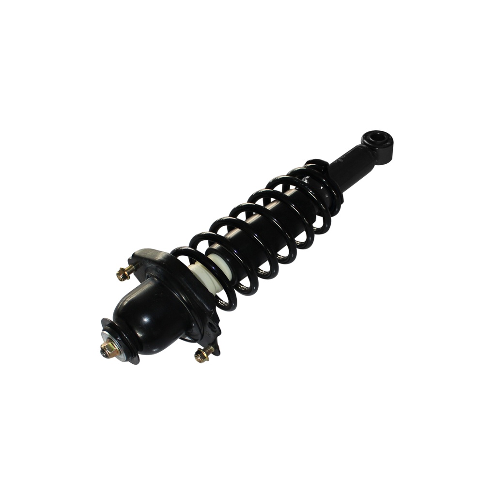 30334421 — Strut Armado con Resorte Trasero Derecho GSP 30334421
