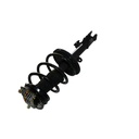 Strut Armado con Resorte Delantero Derecho GSP 30334531