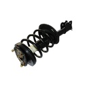 Strut Armado con Resorte Delantero Izquierdo GSP 30334552