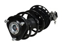 Strut Armado con Resorte Trasero Derecho GSP 30410221