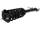 Strut Armado con Resorte Delantero Derecho GSP 30410421