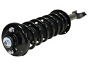 Strut Armado con Resorte Trasero Izquierdo GSP 30410552