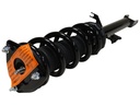 Strut Armado con Resorte Delantero Izquierdo GSP 30410702
