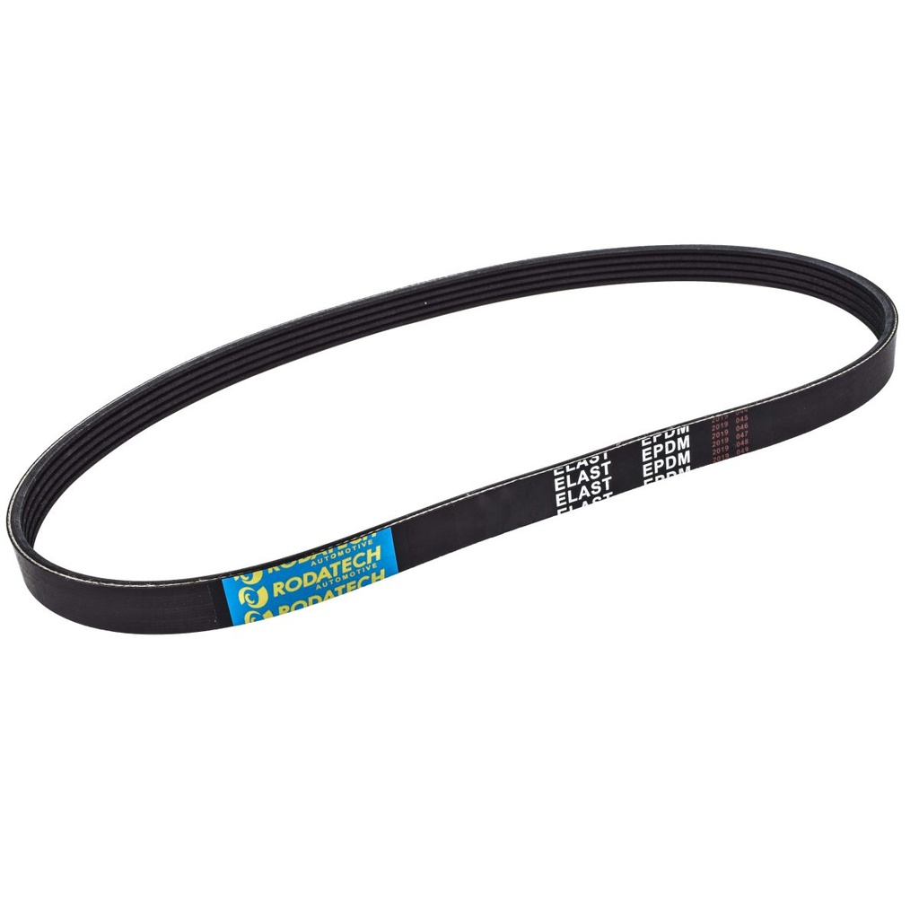 RO-1236RT5ELAST — Banda de Accesorios RODATECH