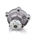 Bomba de Agua SHARK