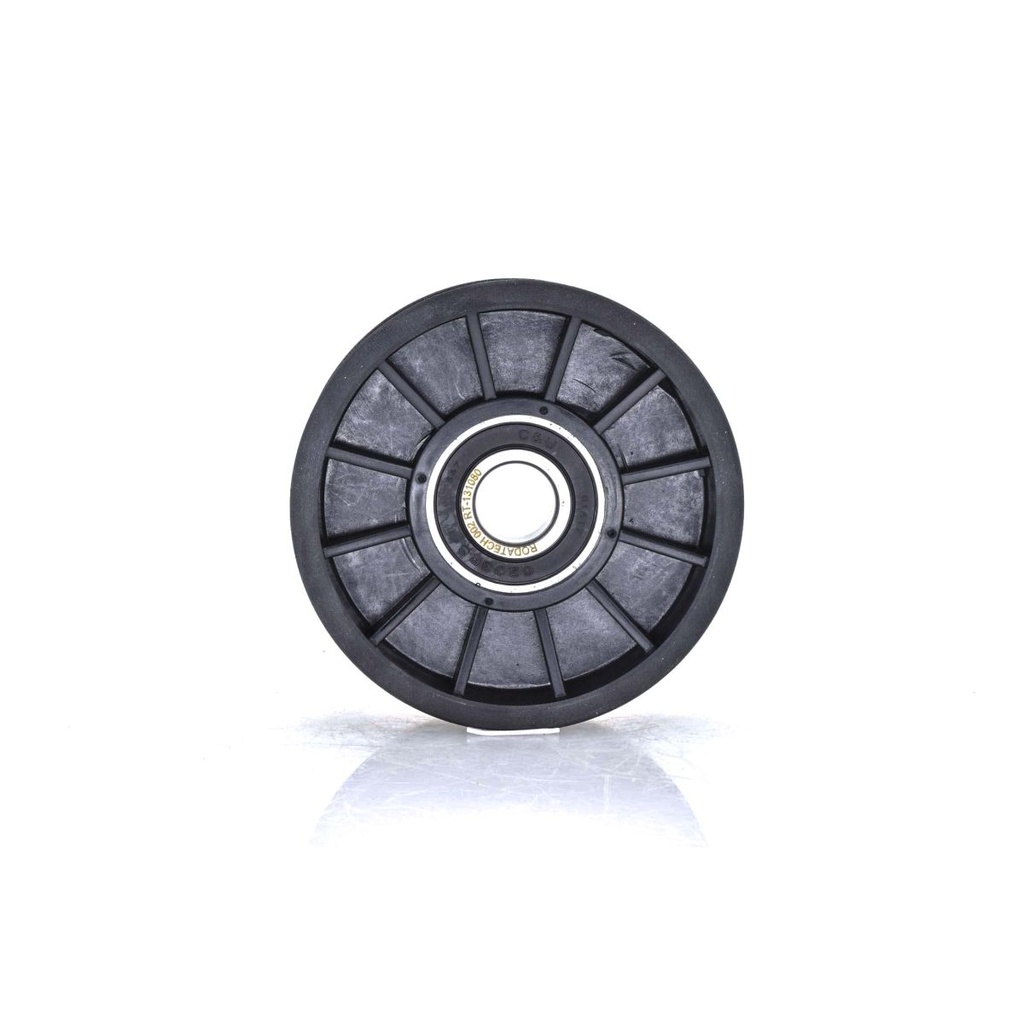 RO-RT-131080 — Polea de Banda de Accesorios RODATECH