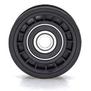 Polea de Banda de Accesorios RODATECH