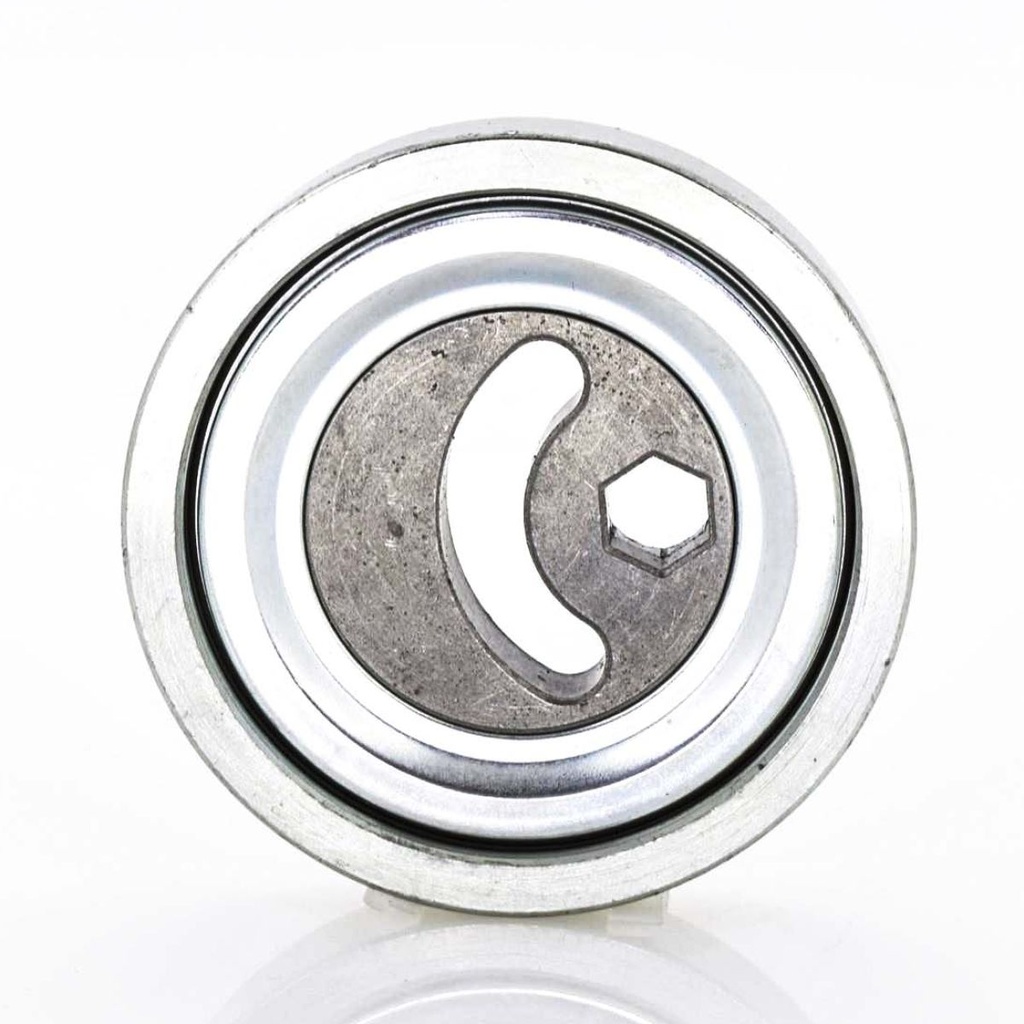 RO-RT-138252 — Polea Tensora de Banda de Accesorios RODATECH