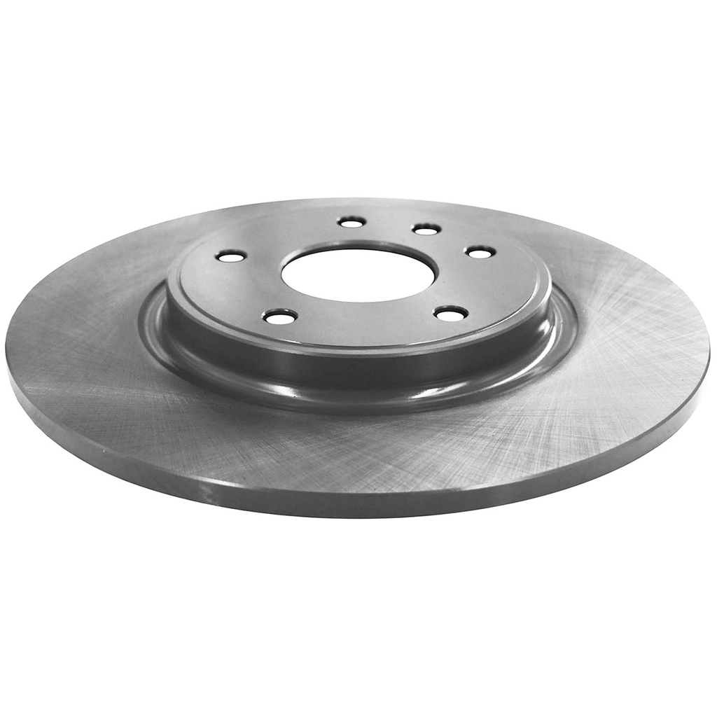 Disco/Rotor de Freno Trasero Fritec FR05099