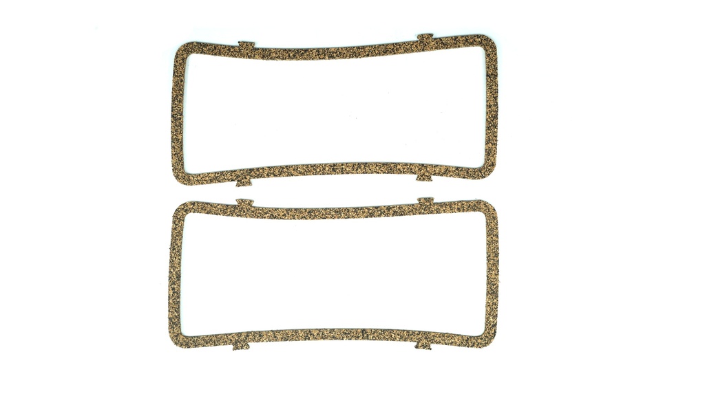 Junta Lateral Tapa de Punterias BUICK Apollo 4.1L 1973-1975