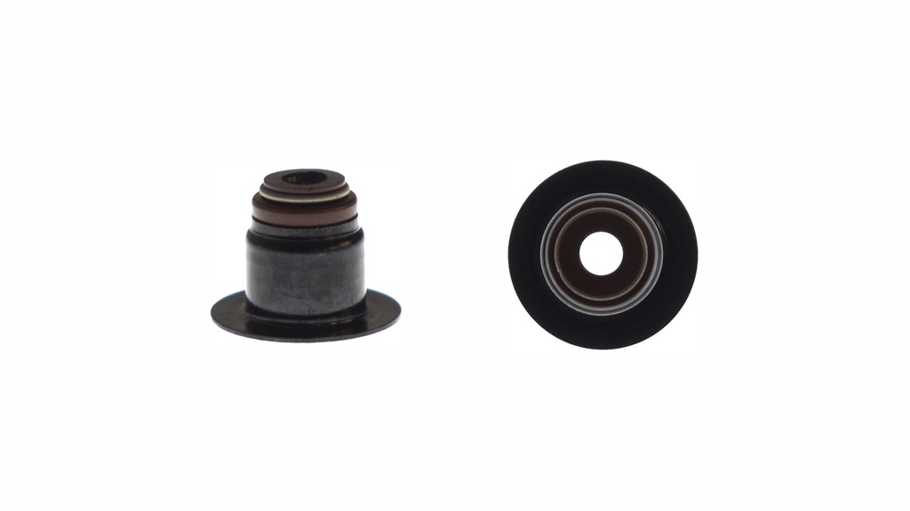 Sello de Válvula FORD Crown Victoria 4.6L 1995-2008