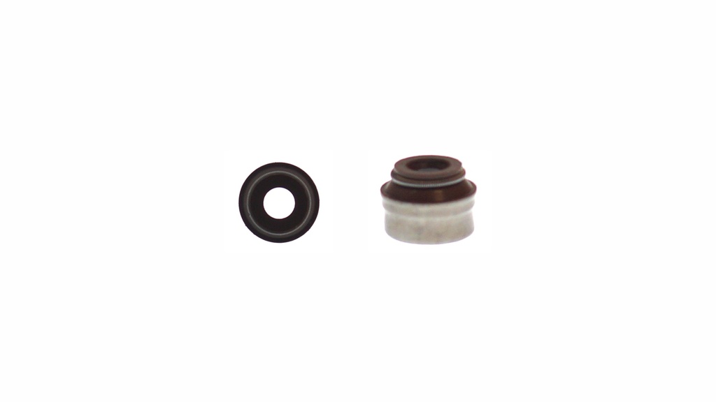 Sello de Válvula FORD Focus 2.5L 2007-2011