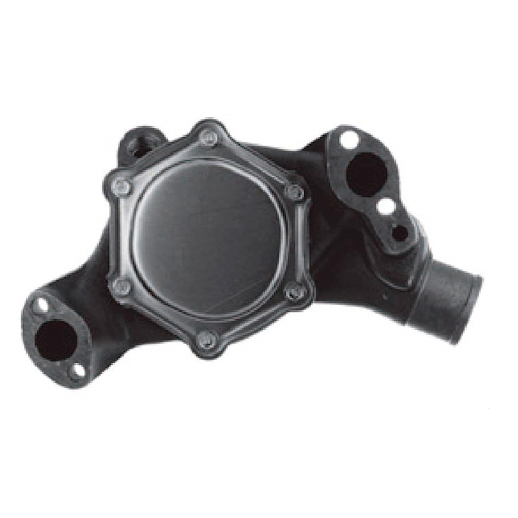 Bomba de agua para motor a gasolina Moresa MBA09910