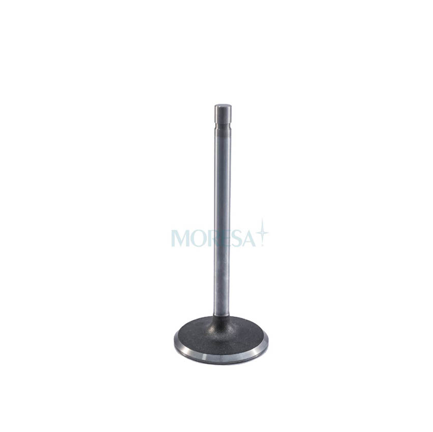 MO-V-7017 STD — Valvula para cabeza de motor Diesel Moresa V-7017 STD